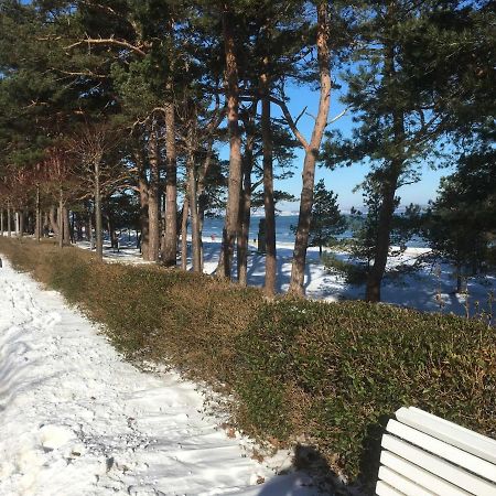 Villa Sanddorn Wg 27 Binz Εξωτερικό φωτογραφία